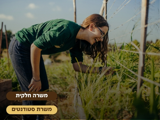 promo image