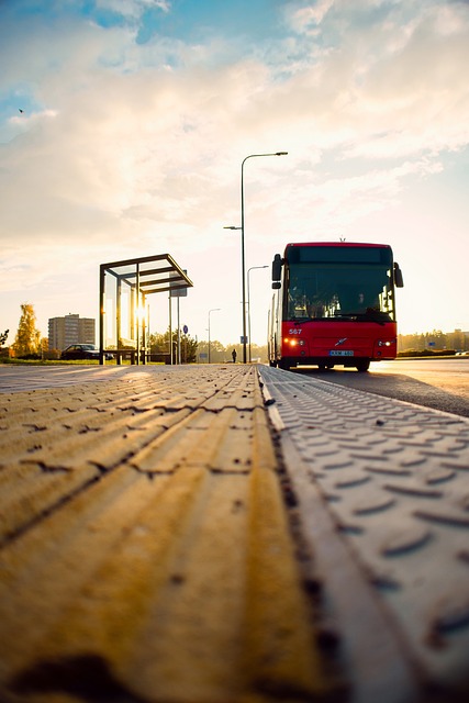 promo image